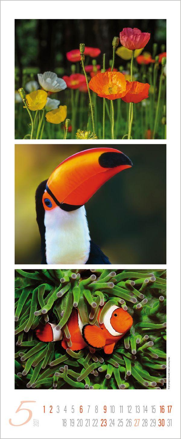 Beispielinhalt (Bild) Colour Triplets 2027