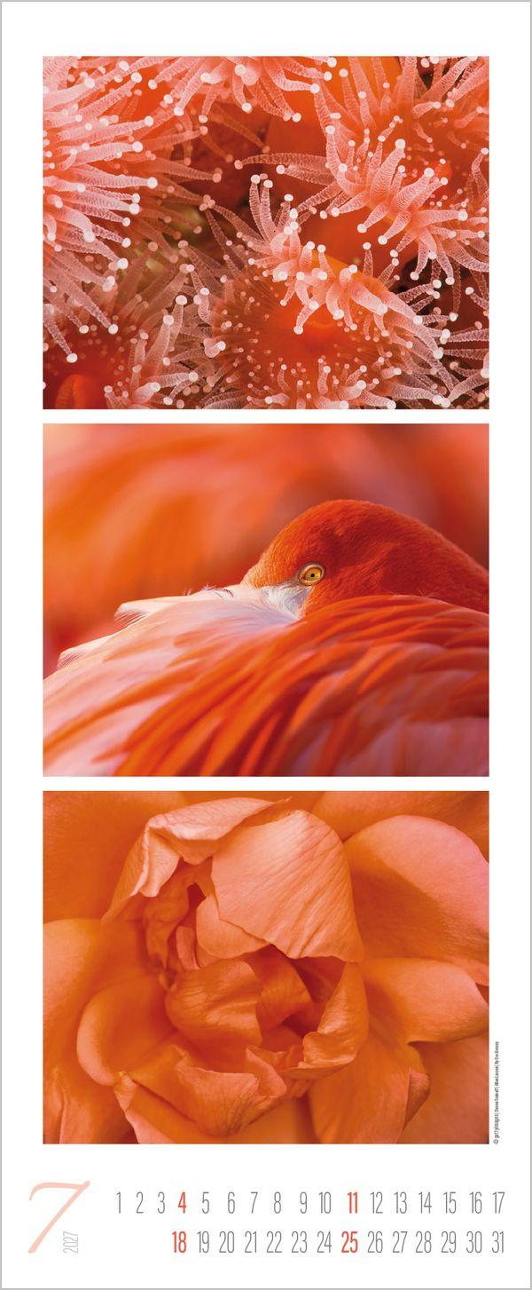 Beispielinhalt (Bild) Colour Triplets 2027