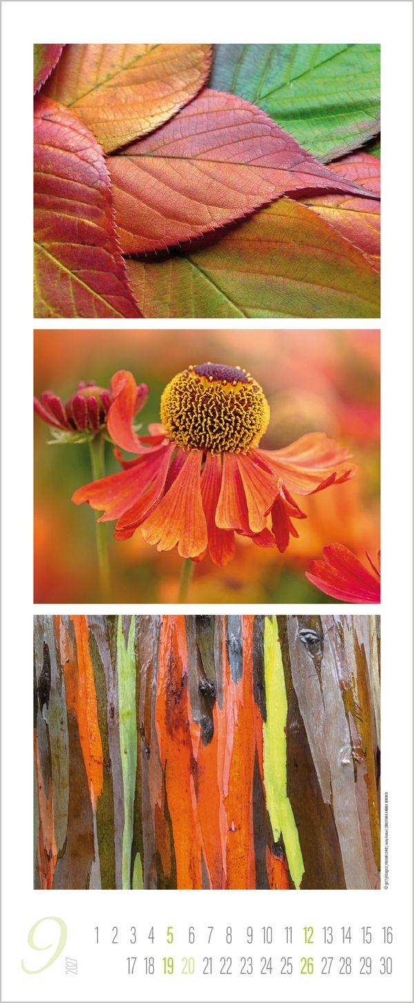 Beispielinhalt (Bild) Colour Triplets 2027