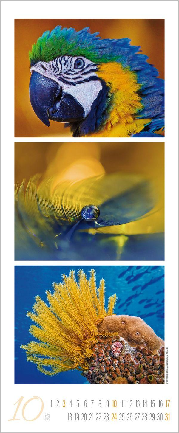 Beispielinhalt (Bild) Colour Triplets 2027