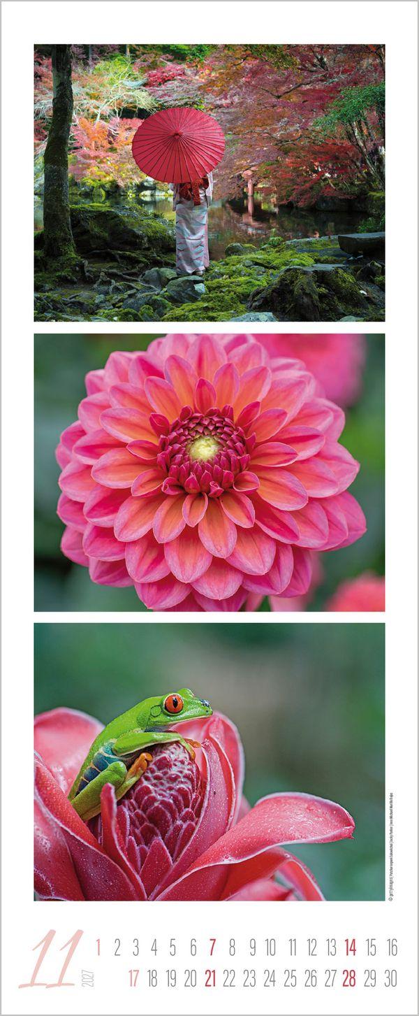 Beispielinhalt (Bild) Colour Triplets 2027