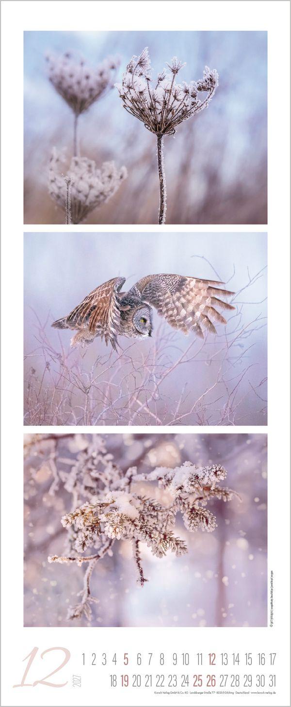 Beispielinhalt (Bild) Colour Triplets 2027