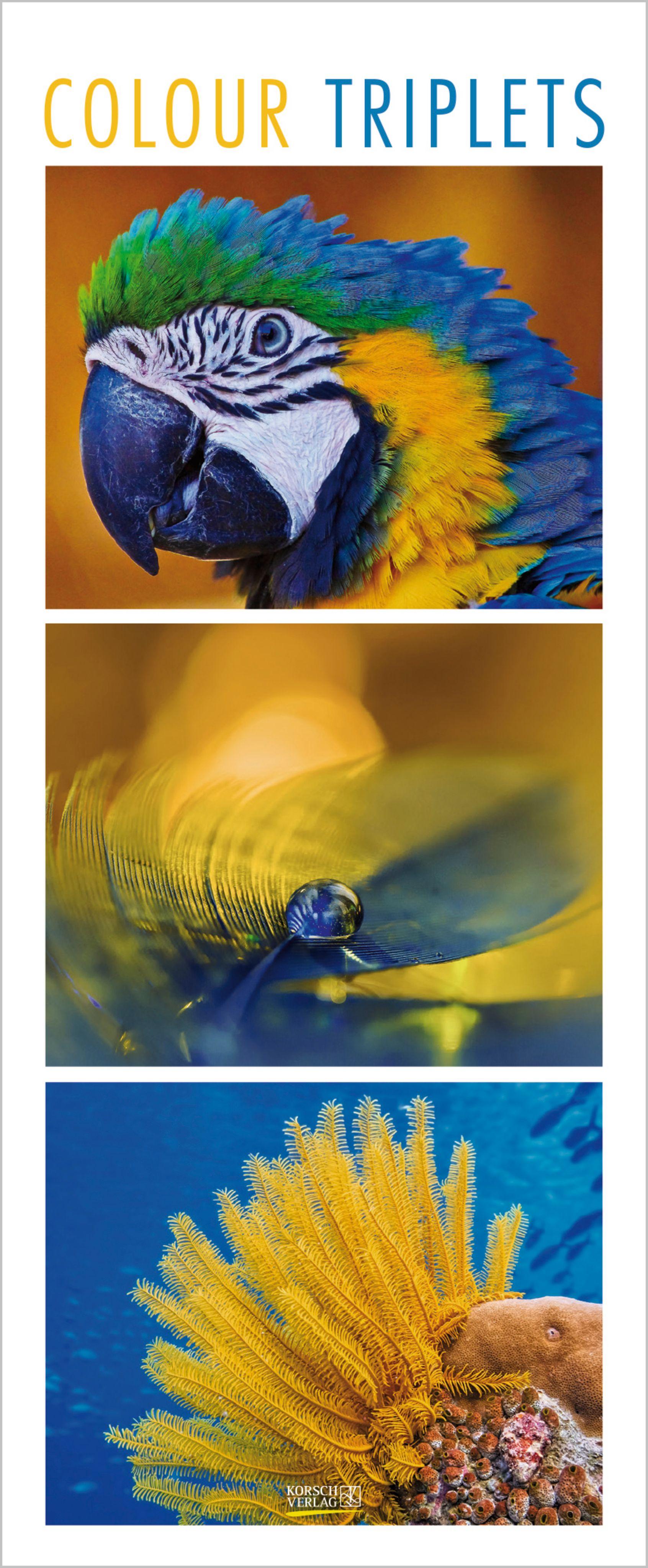 Vorderes Coverbild Colour Triplets 2027