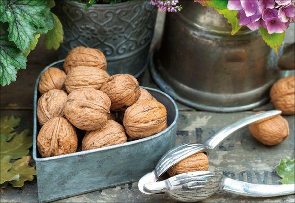 Beispielinhalt (Bild) Küchenkalender 2027