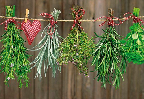 Beispielinhalt (Bild) Küchenkalender 2027