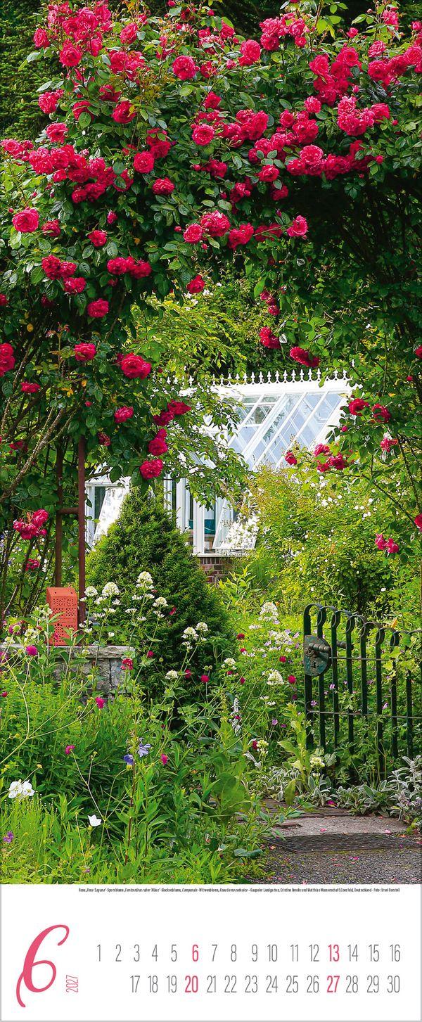 Beispielinhalt (Bild) Gärten 2027