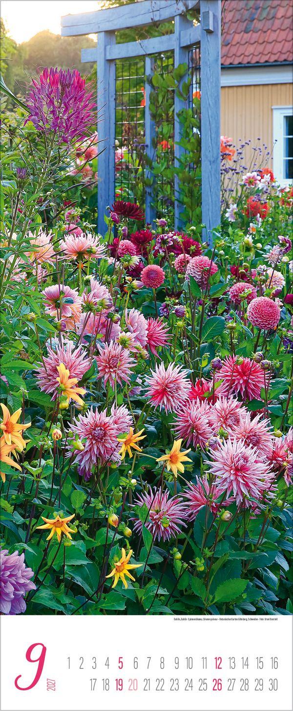 Beispielinhalt (Bild) Gärten 2027