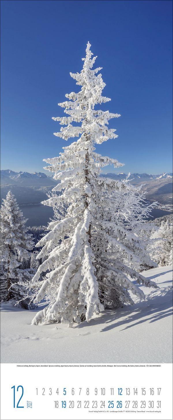 Beispielinhalt (Bild) Bäume 2027