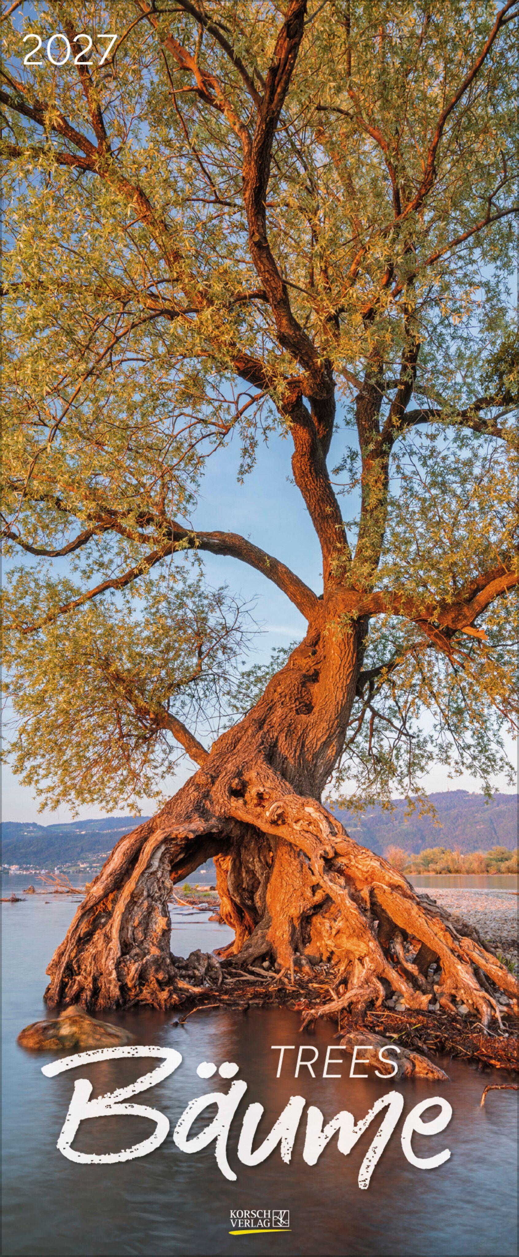 Vorderes Coverbild Bäume 2027