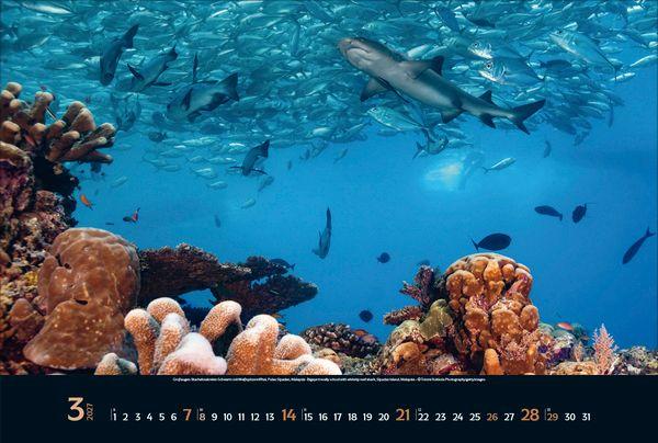 Beispielinhalt (Bild) Magie der Meere 2027