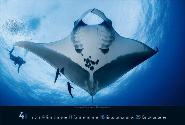 Beispielinhalt (Bild) Magie der Meere 2027