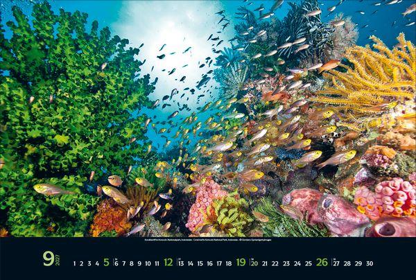 Beispielinhalt (Bild) Magie der Meere 2027