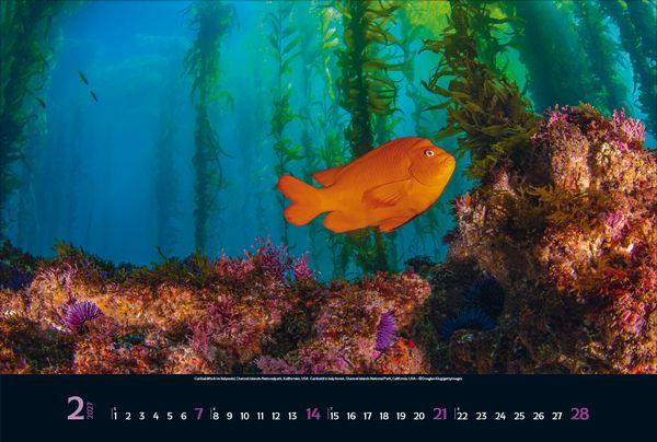 Beispielinhalt (Bild) Magie der Meere 2027