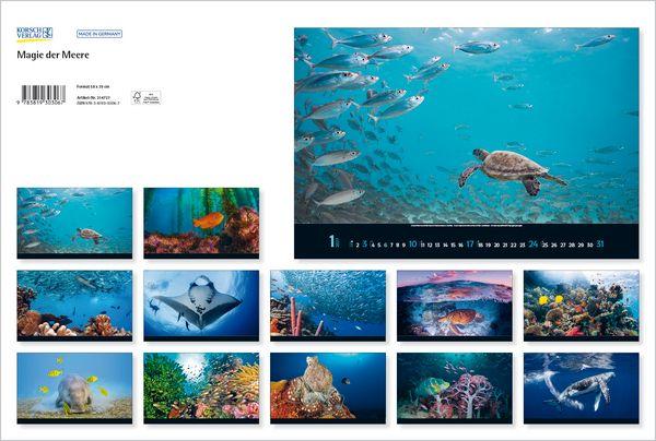 Beispielinhalt (Bild) Magie der Meere 2027