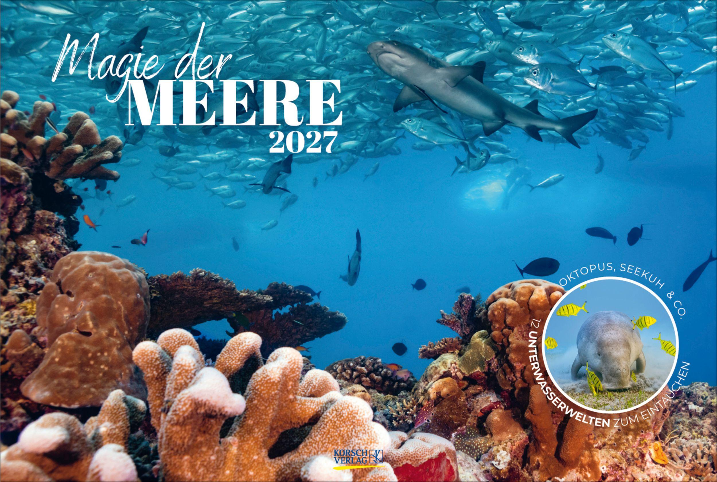 Vorderes Coverbild Magie der Meere 2027