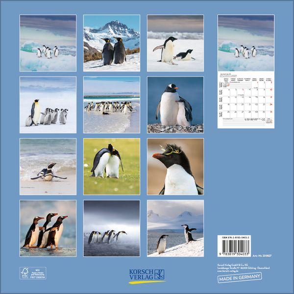 Beispielinhalt (Bild) Pinguine 2027