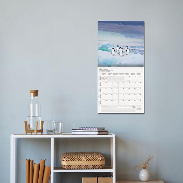 Beispielinhalt (Bild) Pinguine 2027