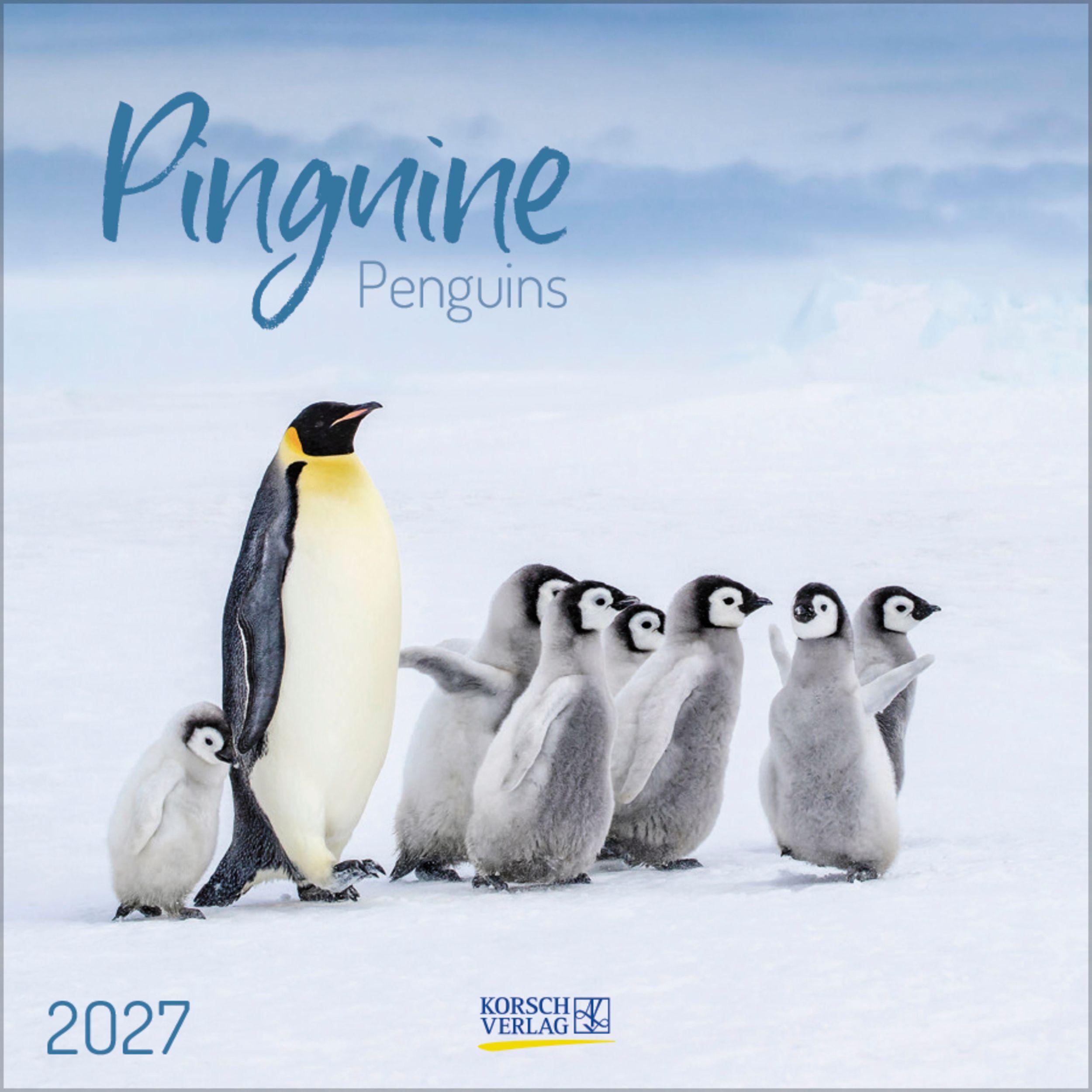 Vorderes Coverbild Pinguine 2027