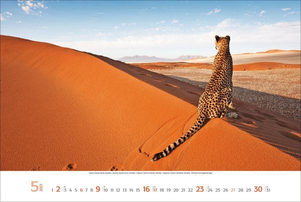 Beispielinhalt (Bild) Sehnsuchtsorte 2027