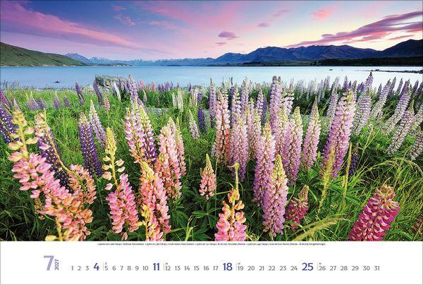 Beispielinhalt (Bild) Sehnsuchtsorte 2027