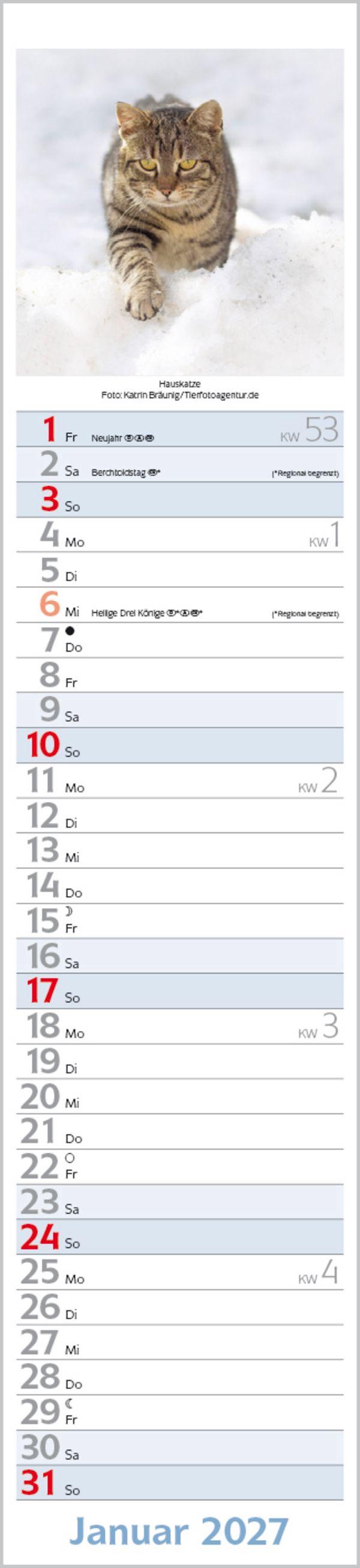 Beispielinhalt (Bild) Katzen Langplaner 2027