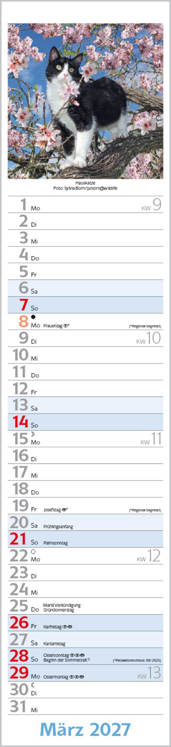 Beispielinhalt (Bild) Katzen Langplaner 2027
