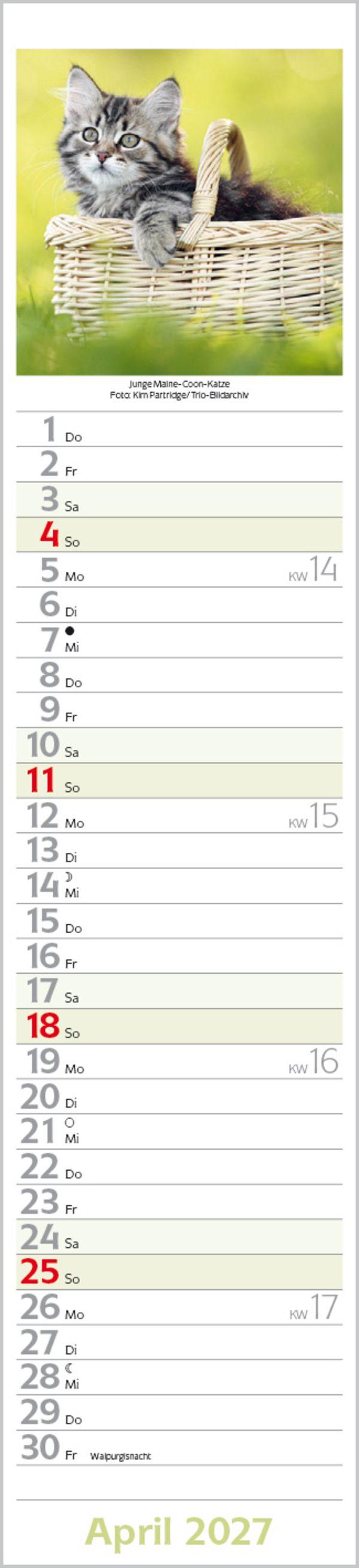 Beispielinhalt (Bild) Katzen Langplaner 2027