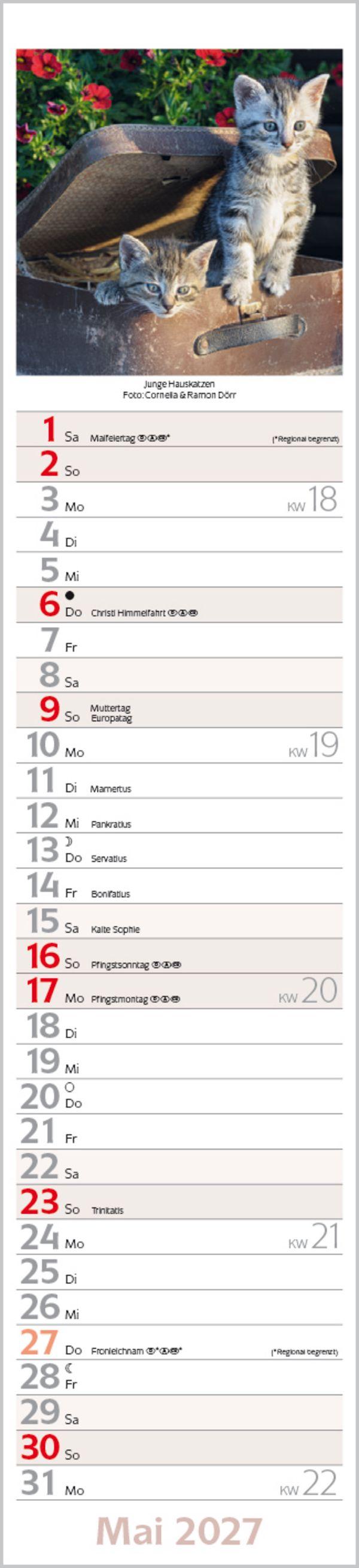 Beispielinhalt (Bild) Katzen Langplaner 2027