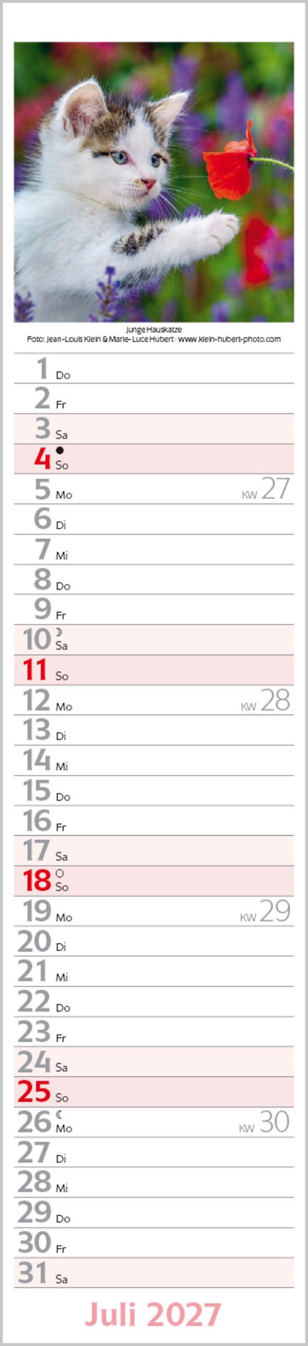 Beispielinhalt (Bild) Katzen Langplaner 2027