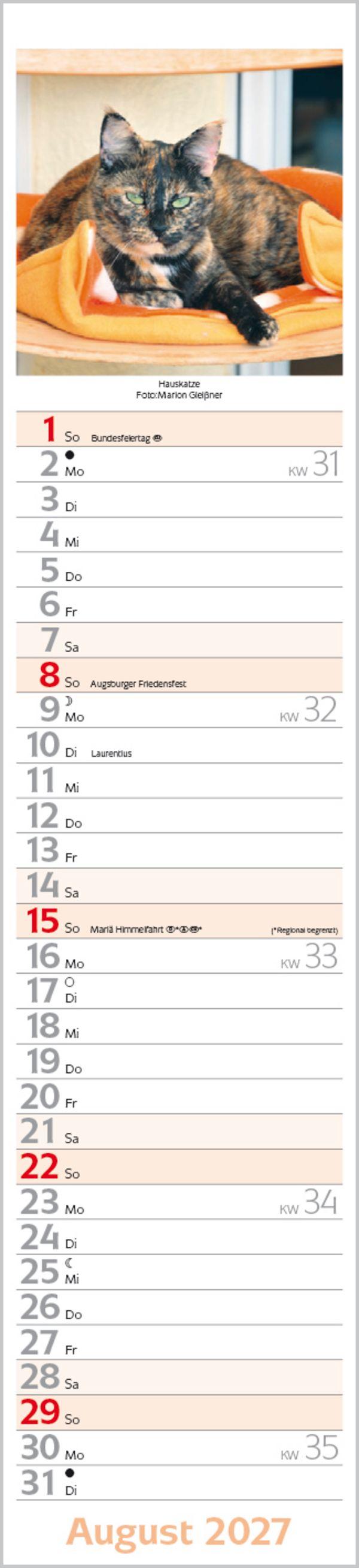 Beispielinhalt (Bild) Katzen Langplaner 2027