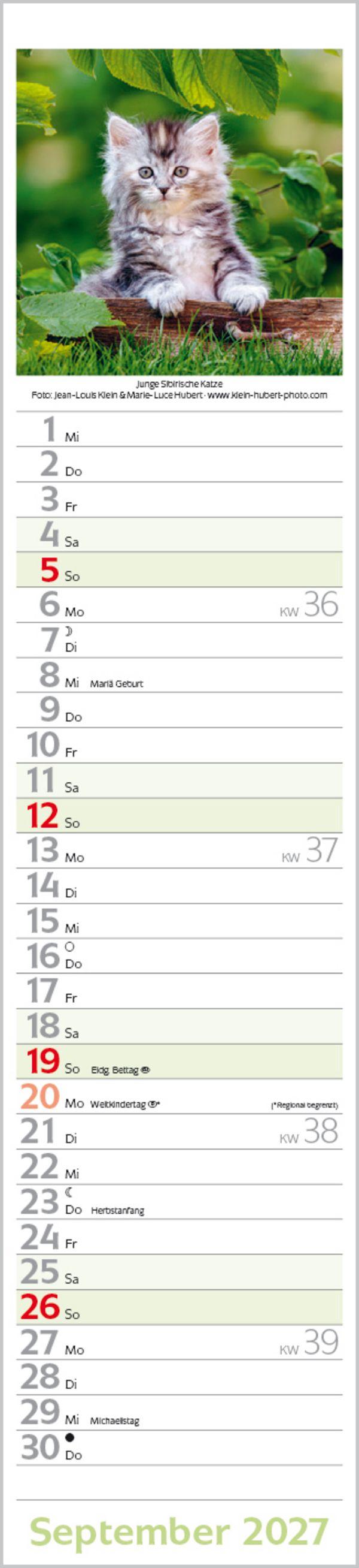 Beispielinhalt (Bild) Katzen Langplaner 2027