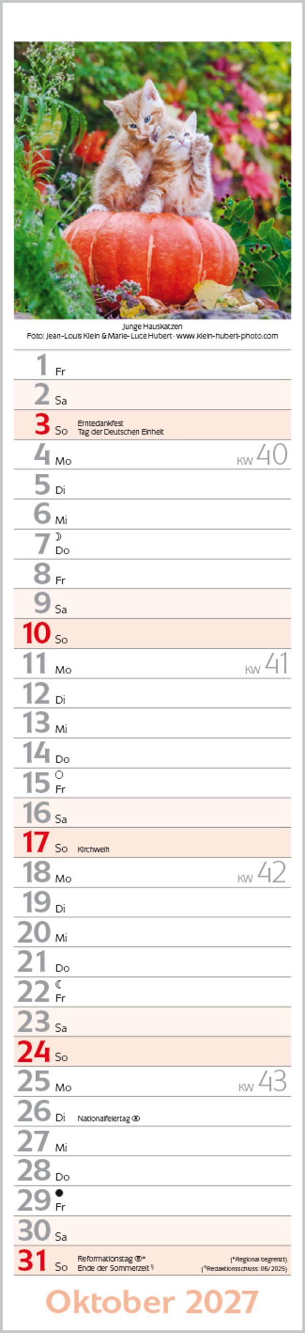 Beispielinhalt (Bild) Katzen Langplaner 2027