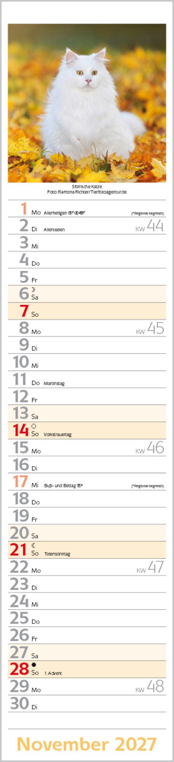 Beispielinhalt (Bild) Katzen Langplaner 2027