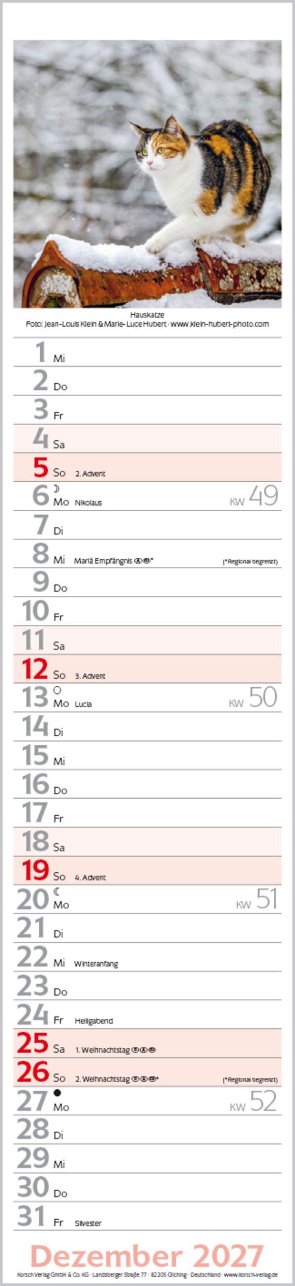 Beispielinhalt (Bild) Katzen Langplaner 2027