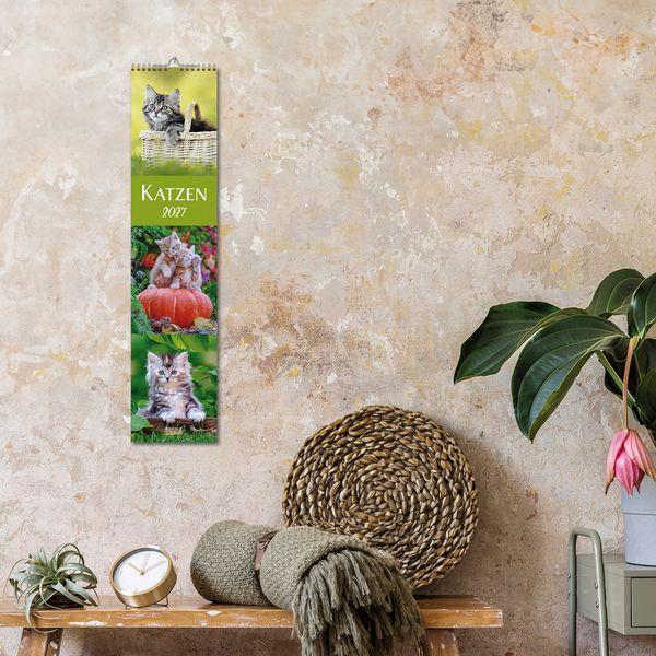 Beispielinhalt (Bild) Katzen Langplaner 2027