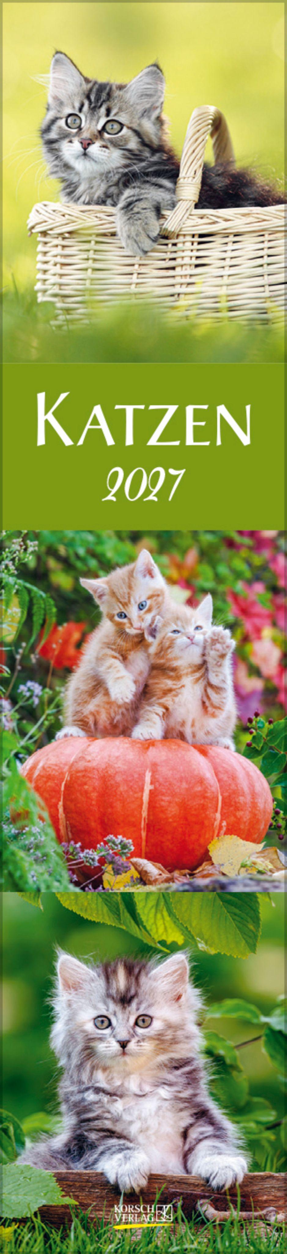 Vorderes Coverbild Katzen Langplaner 2027