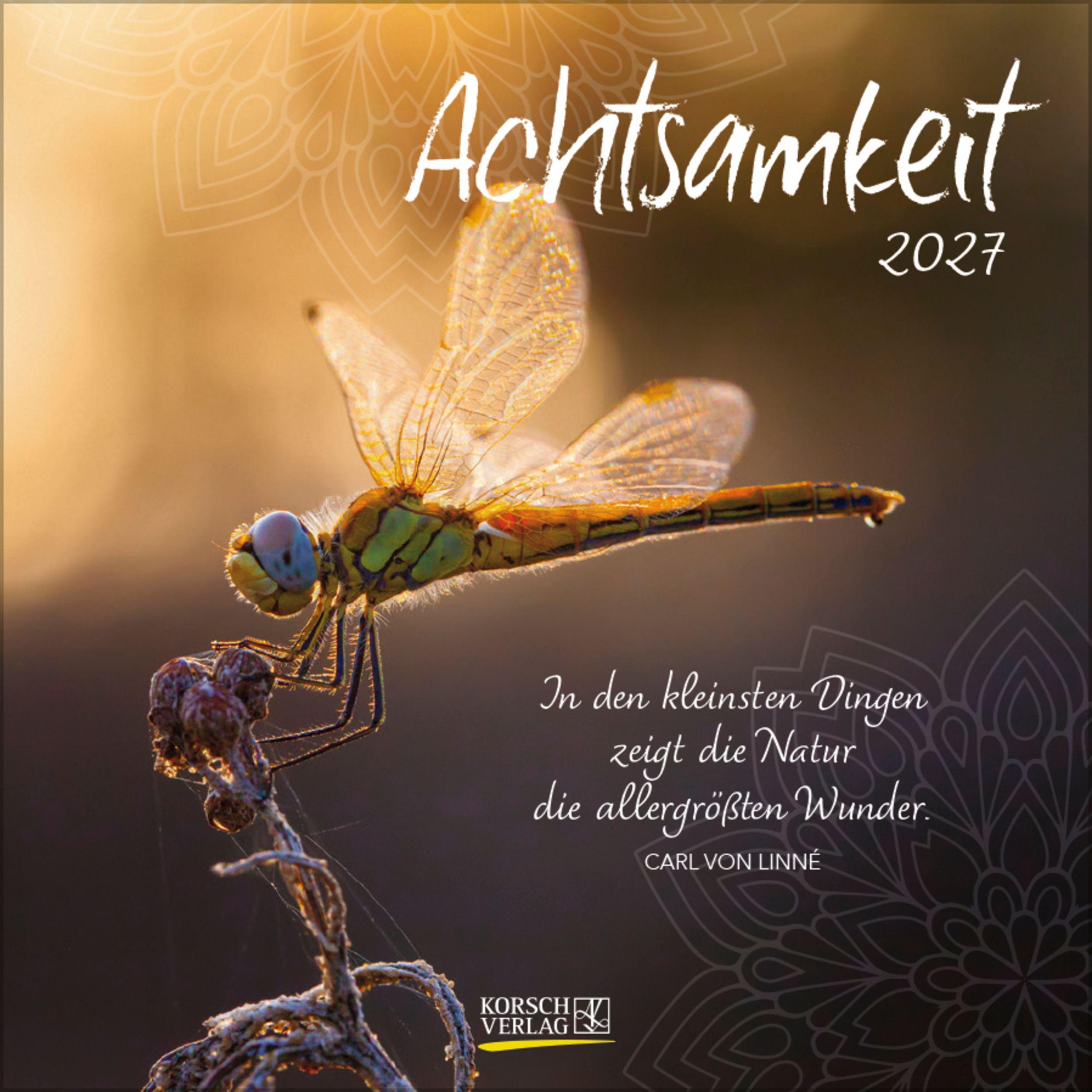 Vorderes Coverbild Achtsamkeit 2027