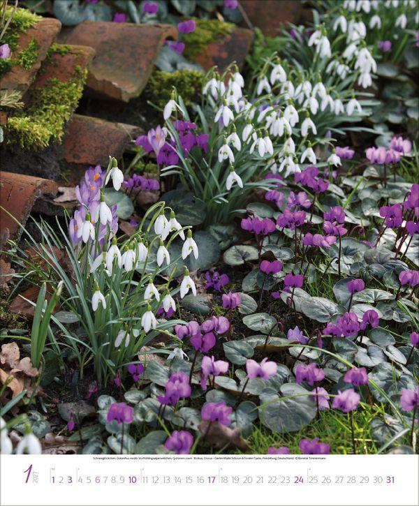 Beispielinhalt (Bild) Geheime Gärten 2027