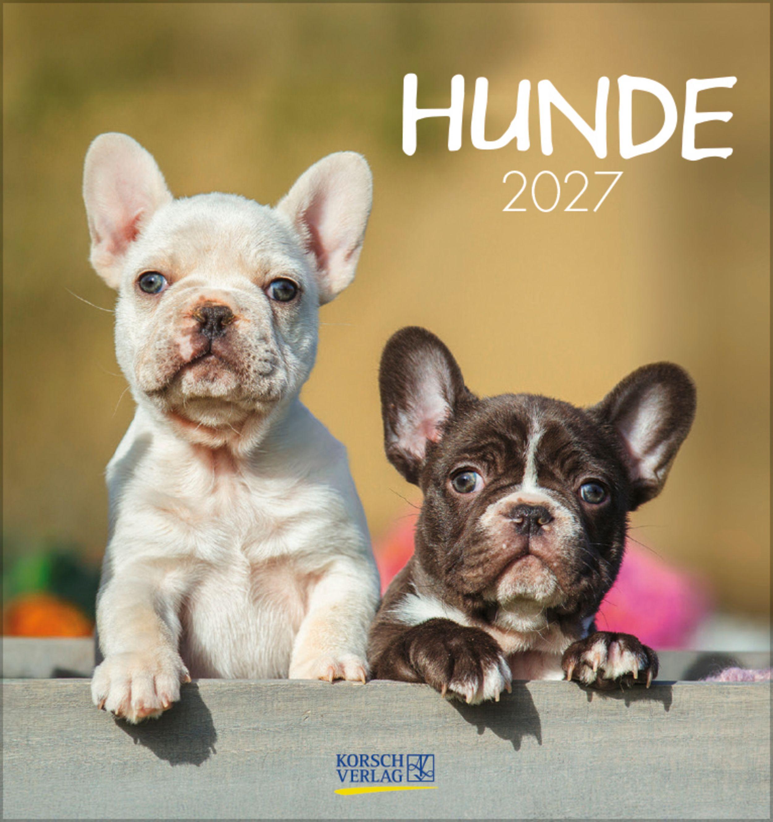 Vorderes Coverbild Hunde 2027