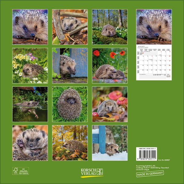 Beispielinhalt (Bild) Igel 2027