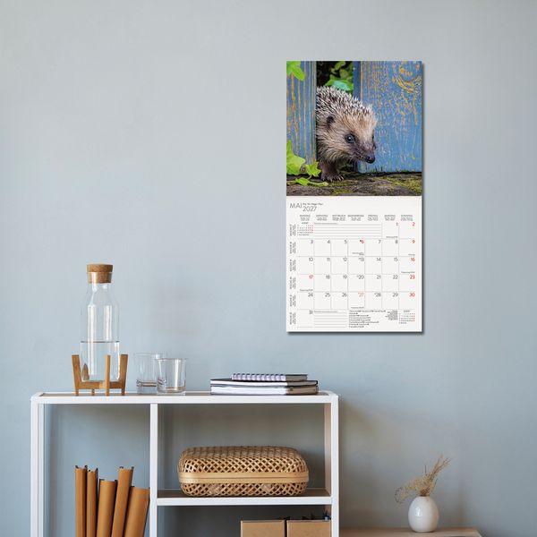 Beispielinhalt (Bild) Igel 2027