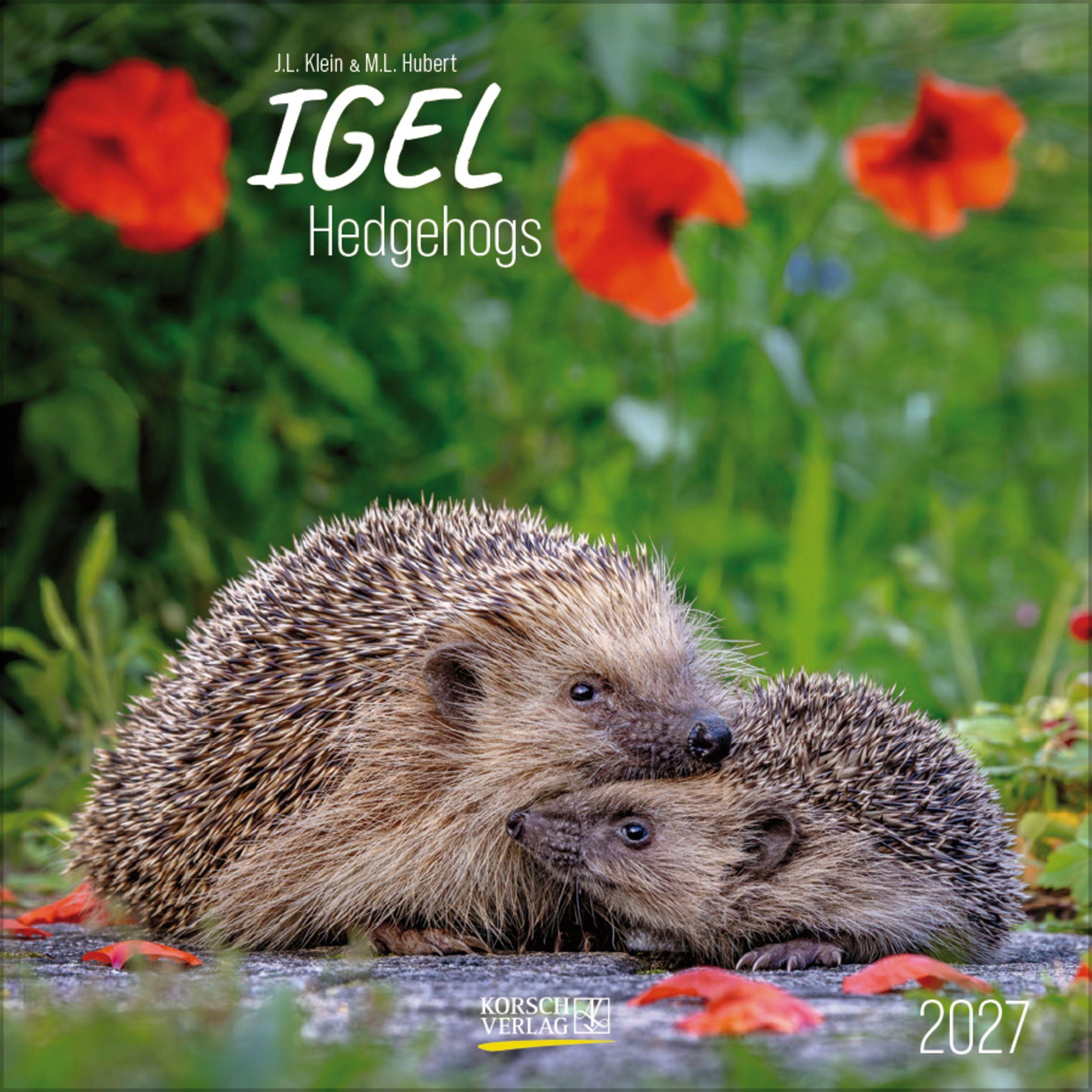 Vorderes Coverbild Igel 2027