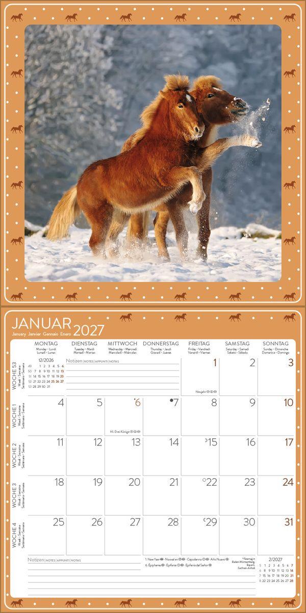Beispielinhalt (Bild) Pferdekalender 2027