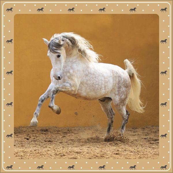 Beispielinhalt (Bild) Pferdekalender 2027