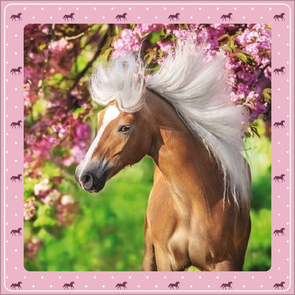 Beispielinhalt (Bild) Pferdekalender 2027