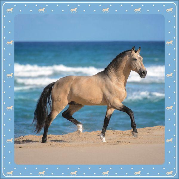 Beispielinhalt (Bild) Pferdekalender 2027