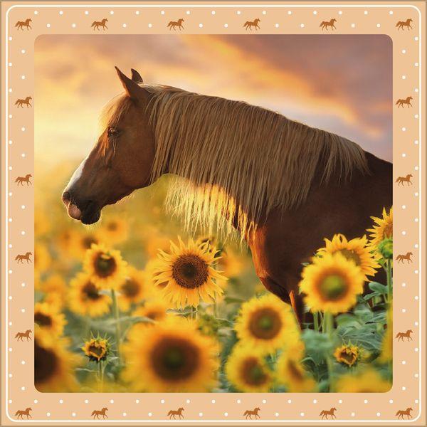 Beispielinhalt (Bild) Pferdekalender 2027