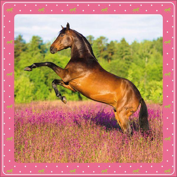 Beispielinhalt (Bild) Pferdekalender 2027