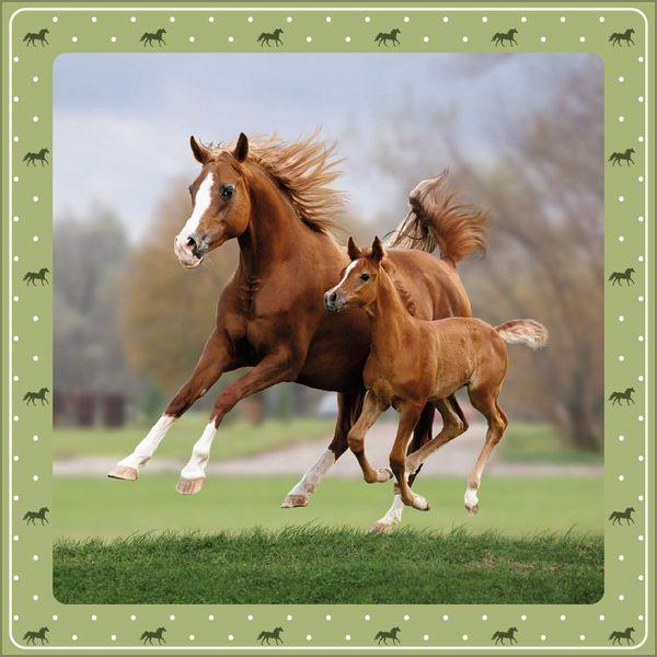 Beispielinhalt (Bild) Pferdekalender 2027