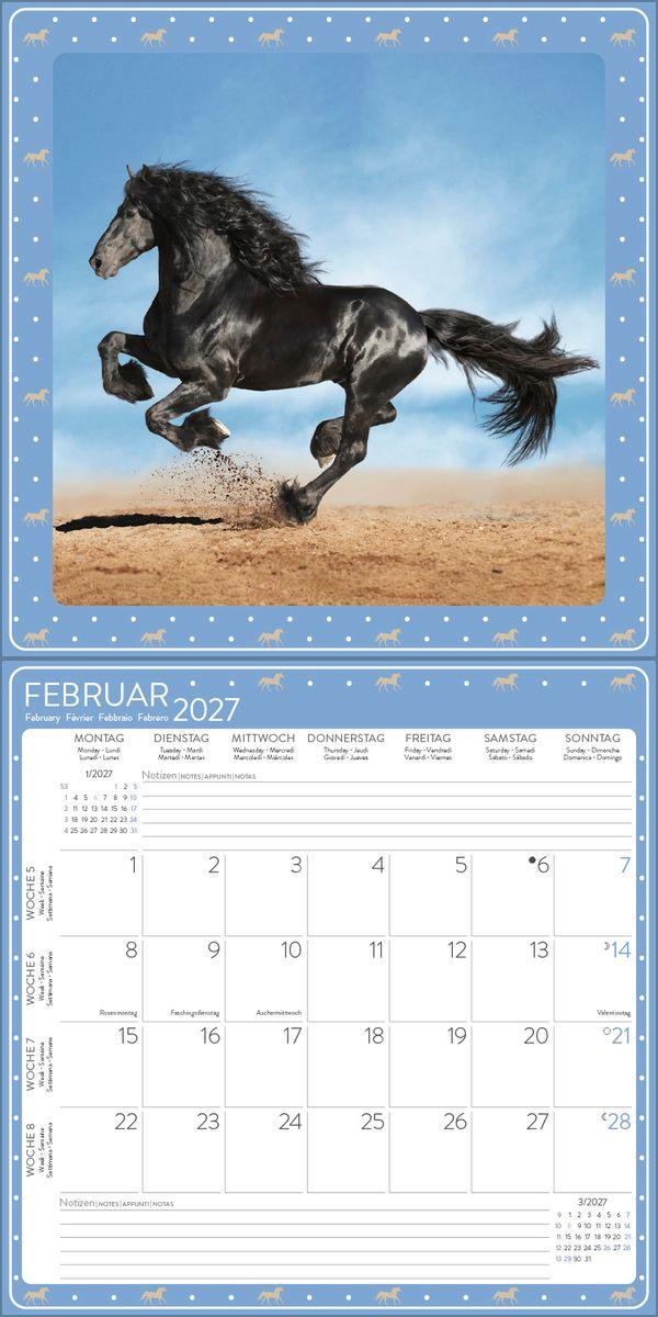 Beispielinhalt (Bild) Pferdekalender 2027